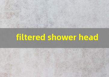  filtered shower head